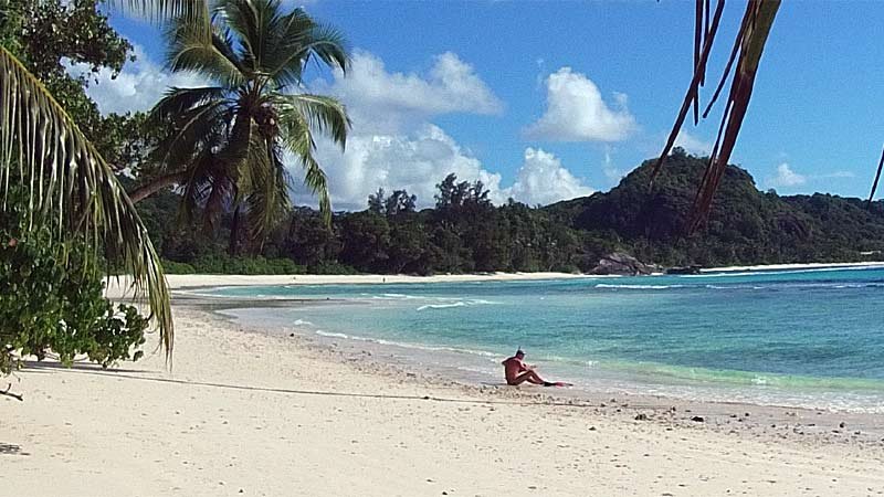 Strand,Palmen