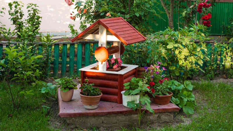 Haustier,Grabstätte,Ruhestätte,Garten,Wald