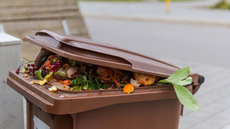 Biomüll,Mülltrennung,Biotonne,Mülltonne