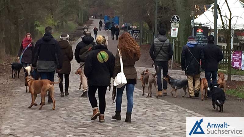 Hunde,Herrchen,Frauchen,Spaziergang,Gruppe