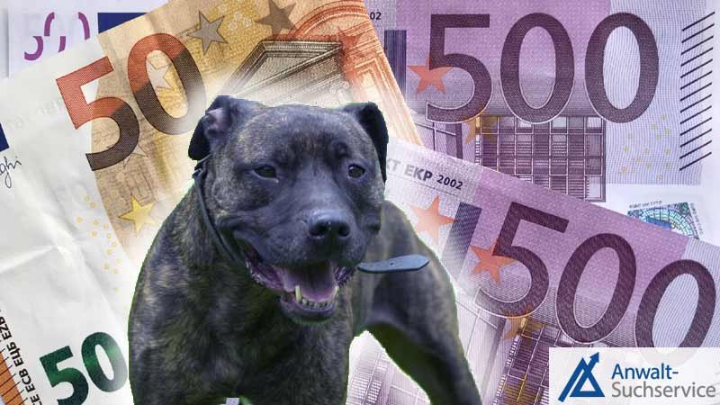 Kampfhund,Listenhund,Hundesteuer,Geld