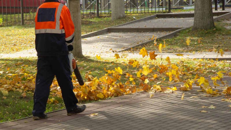 Herbstlaub,Laubbläser,kehren,fegen,beseitigen