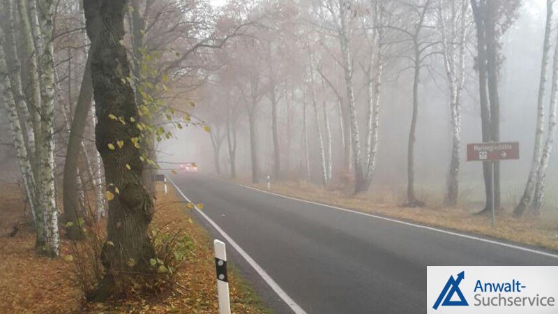 Auto,Nebelschlussleuchten,Nebelscheinwerfer,Nebel,Allee