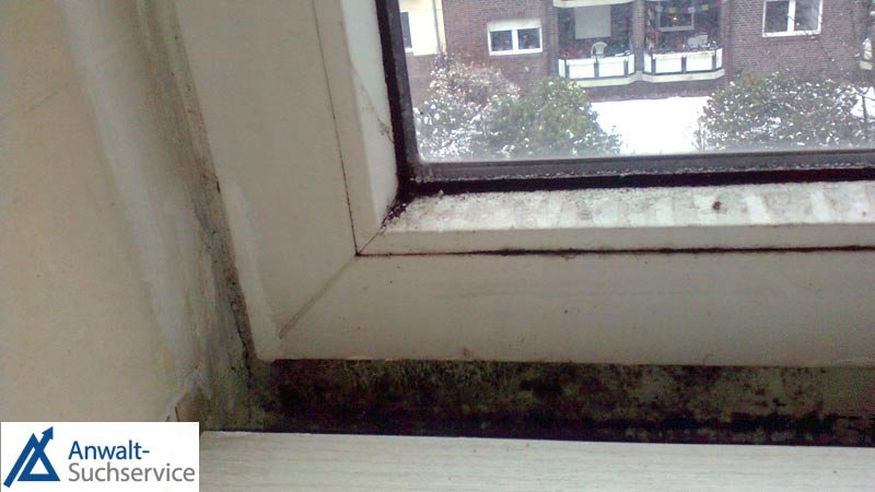 Schwitzende Fenster + Schimmel an Außenwand, trotz 3-4 Stoßlüften