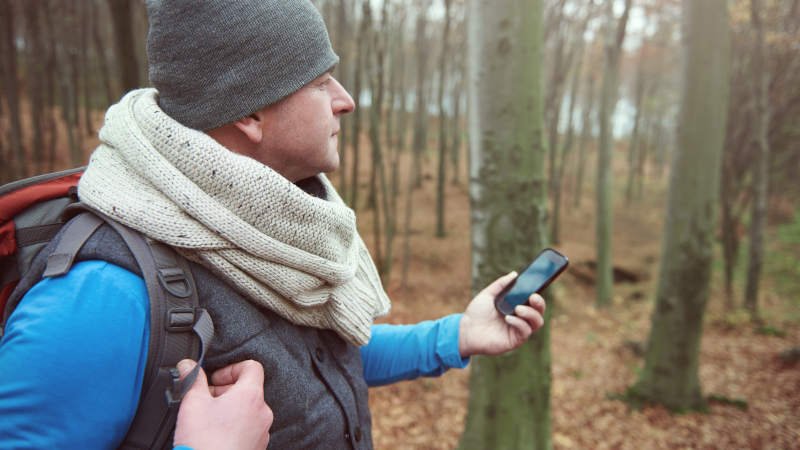 Handyempfang,schlecht,Mann,Wald