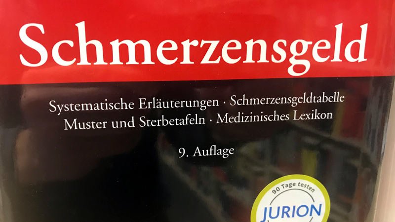 Schmerzensgeld,Buch,Cover