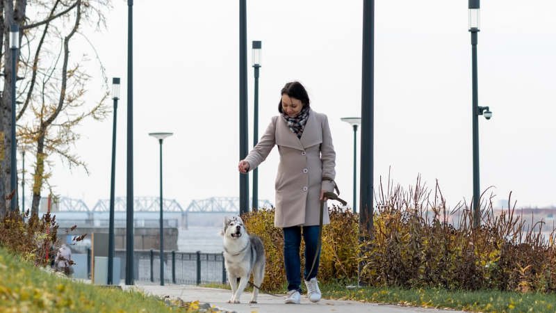 Frau,Hund,Gassi,Laternen