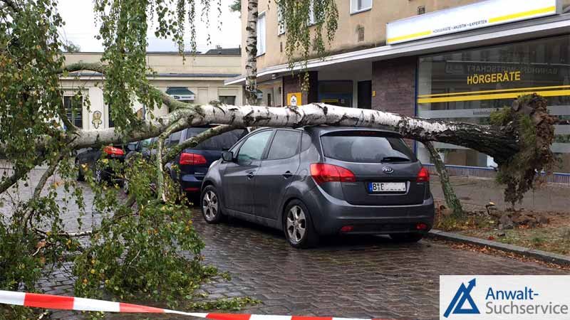 Auto,umgestürzter,Baum,Sturmschaden