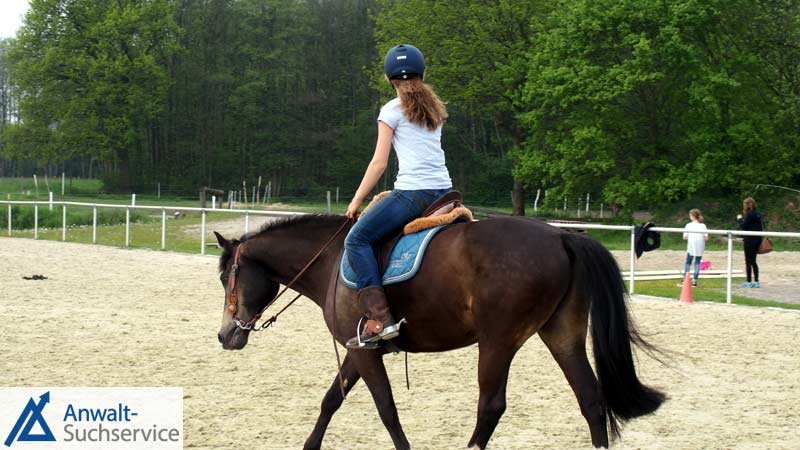 Reitunfall,Reiten,Pferd,Sturz,Tierhalter