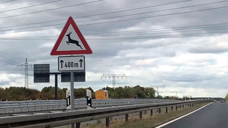 Wildunfall: Gefahr besonders im Frühjahr und Herbst. Schild,Wildwechsel